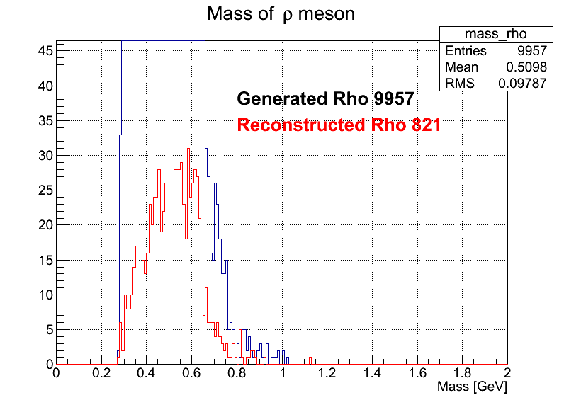 rho Mass
