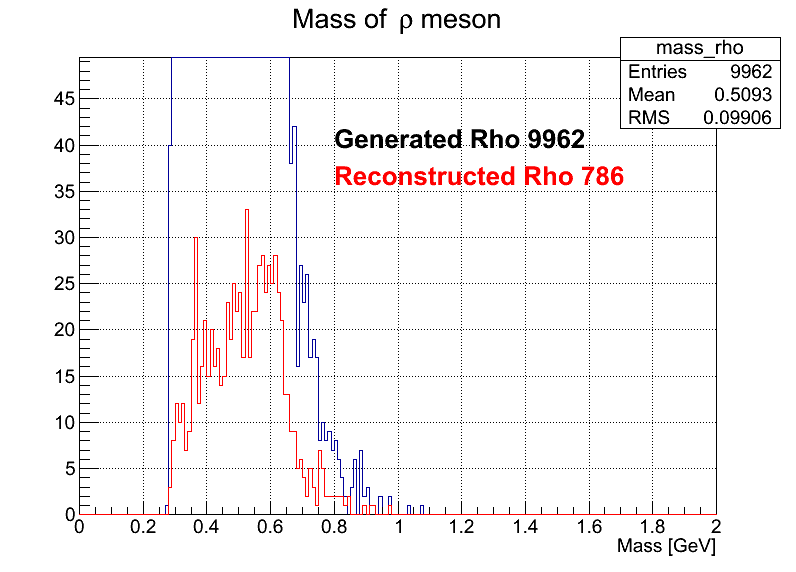 rho Mass